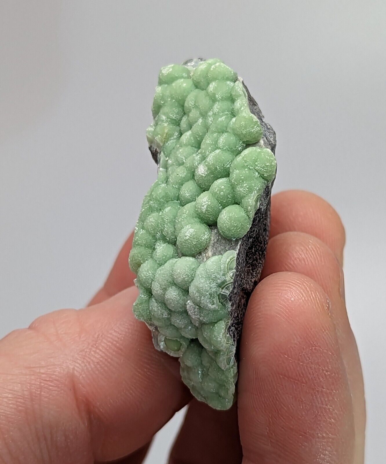 Wavellite Specimen - Rare 1990s Old Stock - Mauldin Mountain Arkansas - Collectibles:Rocks Fossils & Minerals:Crystals