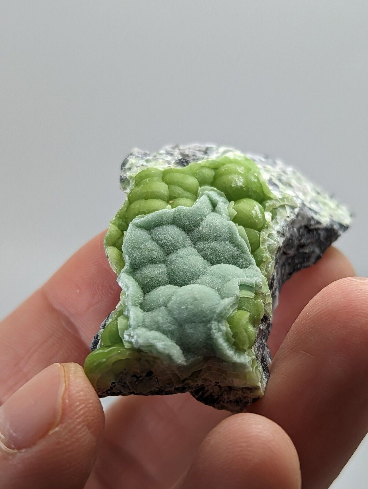 Wavellite Specimen - Rare 1990s Old Stock - Mauldin Mountain Arkansas - Collectibles:Rocks Fossils & Minerals:Crystals