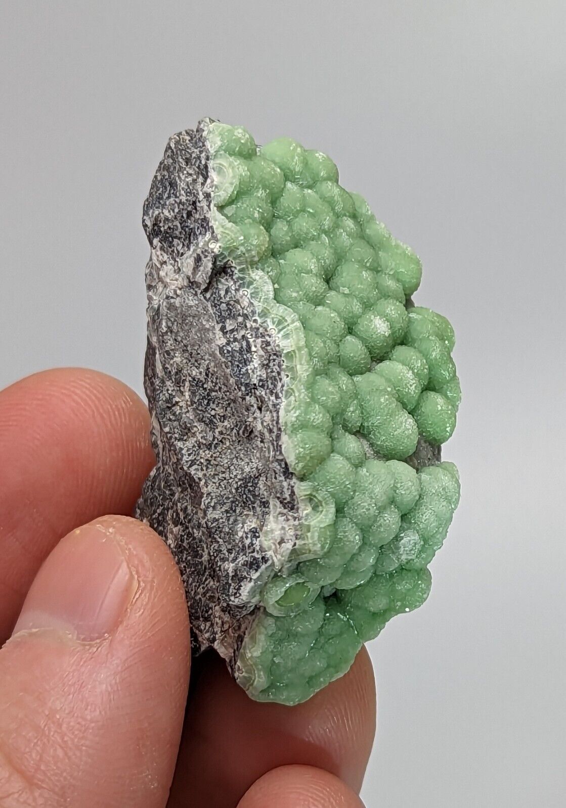 Wavellite Specimen - Rare 1990s Old Stock - Mauldin Mountain Arkansas - Collectibles:Rocks Fossils & Minerals:Crystals