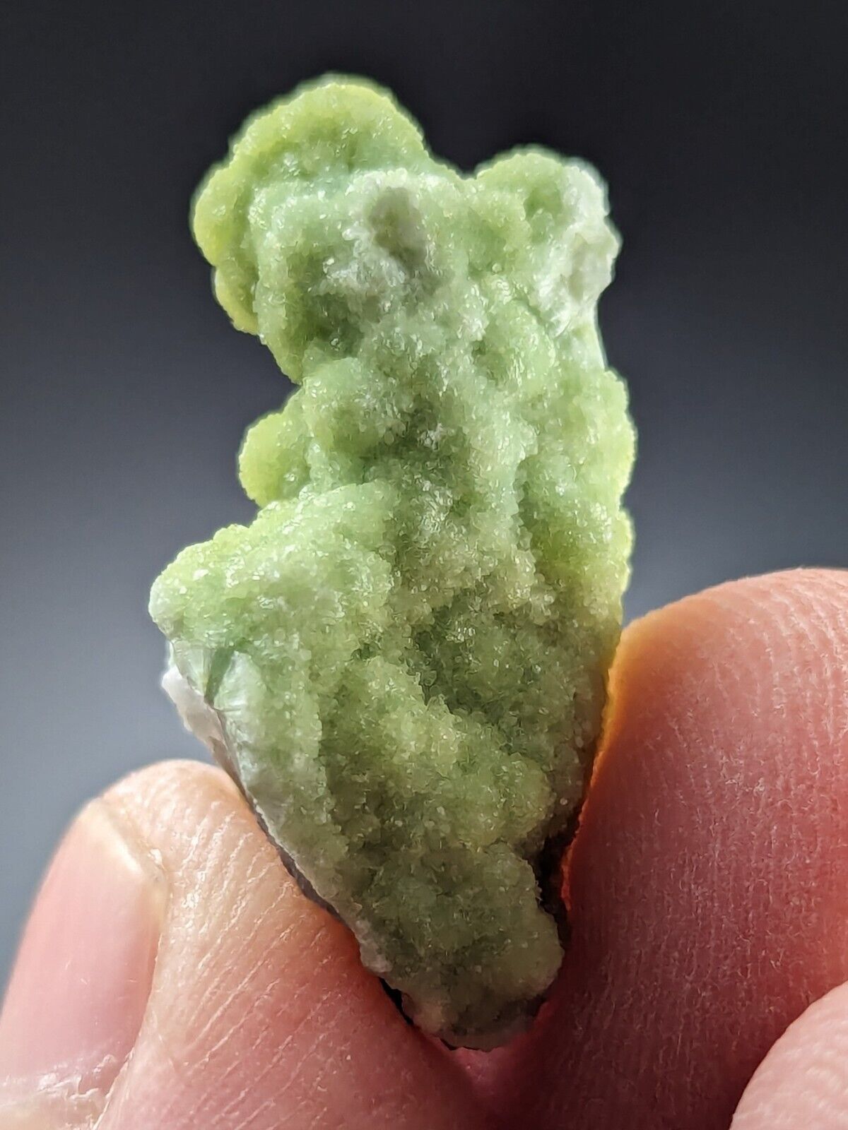 Wavellite Stalactite - Amazing Old Stock - Mauldin Mountain Arkansas - Collectibles:Rocks Fossils & Minerals:Crystals