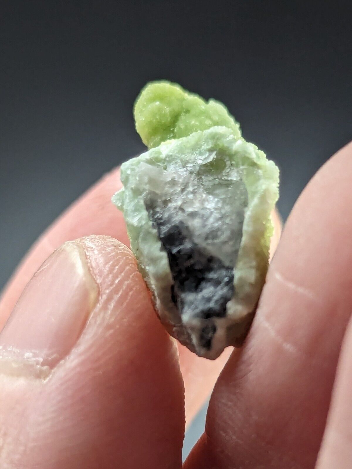 Wavellite Stalactite - Amazing Old Stock - Mauldin Mountain Arkansas - Collectibles:Rocks Fossils & Minerals:Crystals
