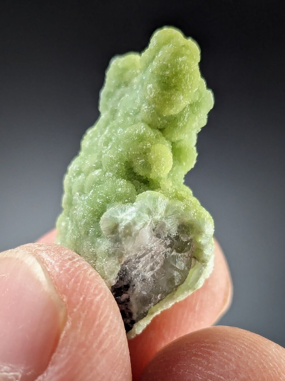 Wavellite Stalactite - Amazing Old Stock - Mauldin Mountain Arkansas - Collectibles:Rocks Fossils & Minerals:Crystals