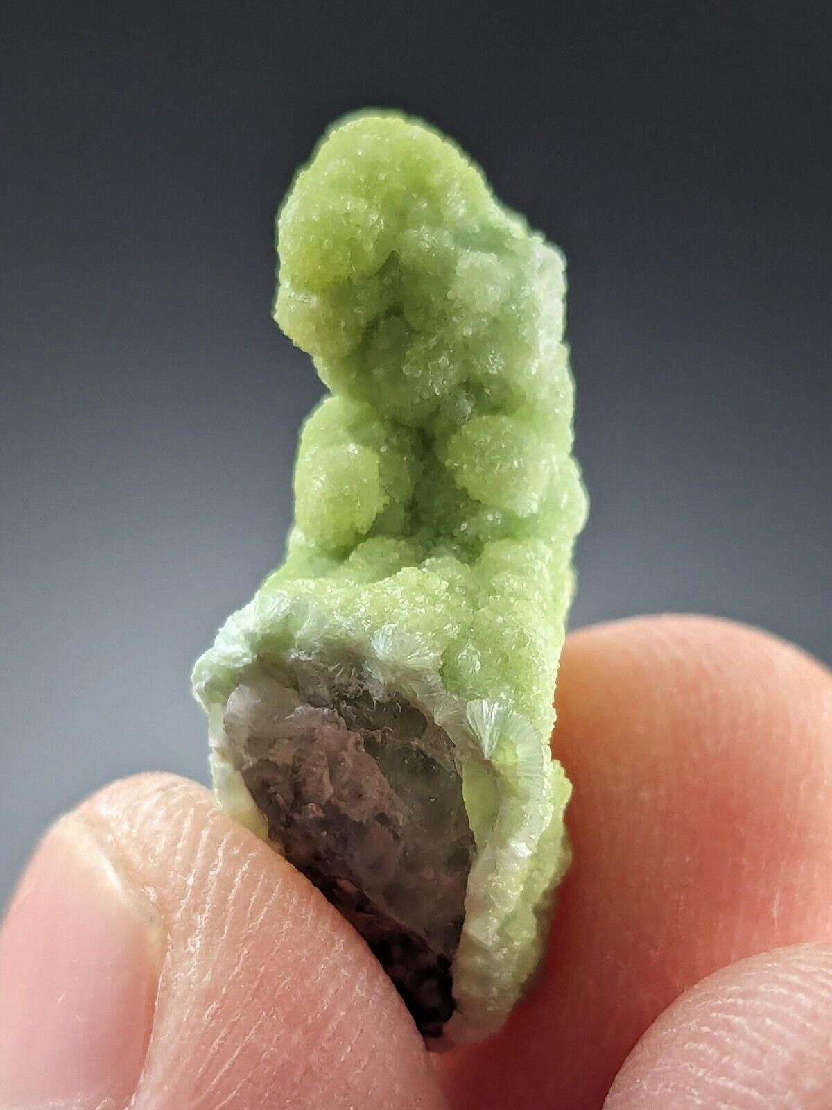 Wavellite Stalactite - Amazing Old Stock - Mauldin Mountain Arkansas - Collectibles:Rocks Fossils & Minerals:Crystals