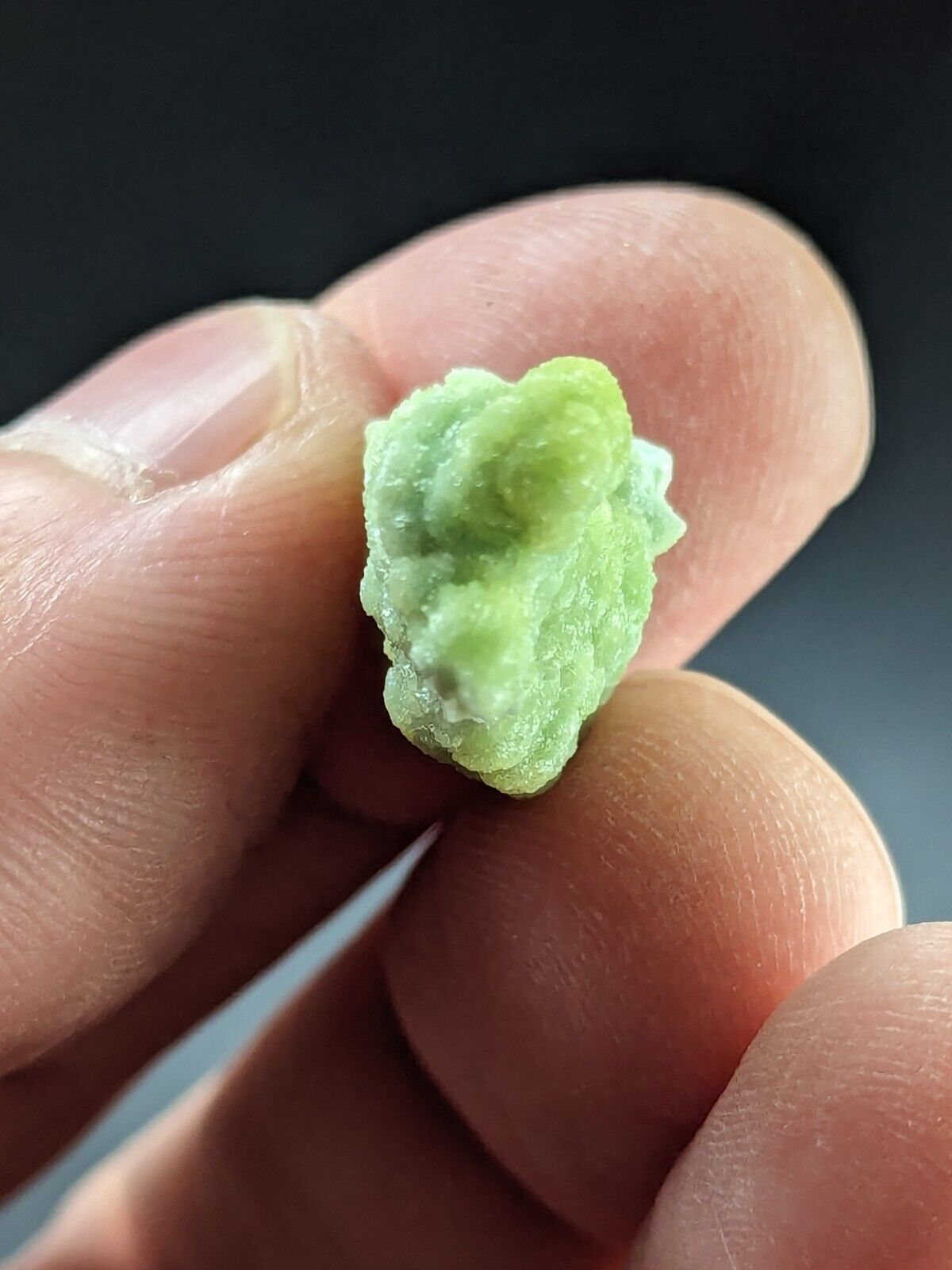 Wavellite Stalactite - Amazing Old Stock - Mauldin Mountain Arkansas - Collectibles:Rocks Fossils & Minerals:Crystals