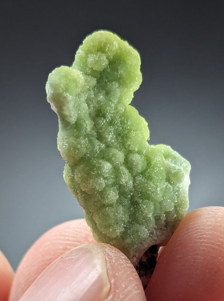 Wavellite Stalactite - Amazing Old Stock - Mauldin Mountain Arkansas - Collectibles:Rocks Fossils & Minerals:Crystals