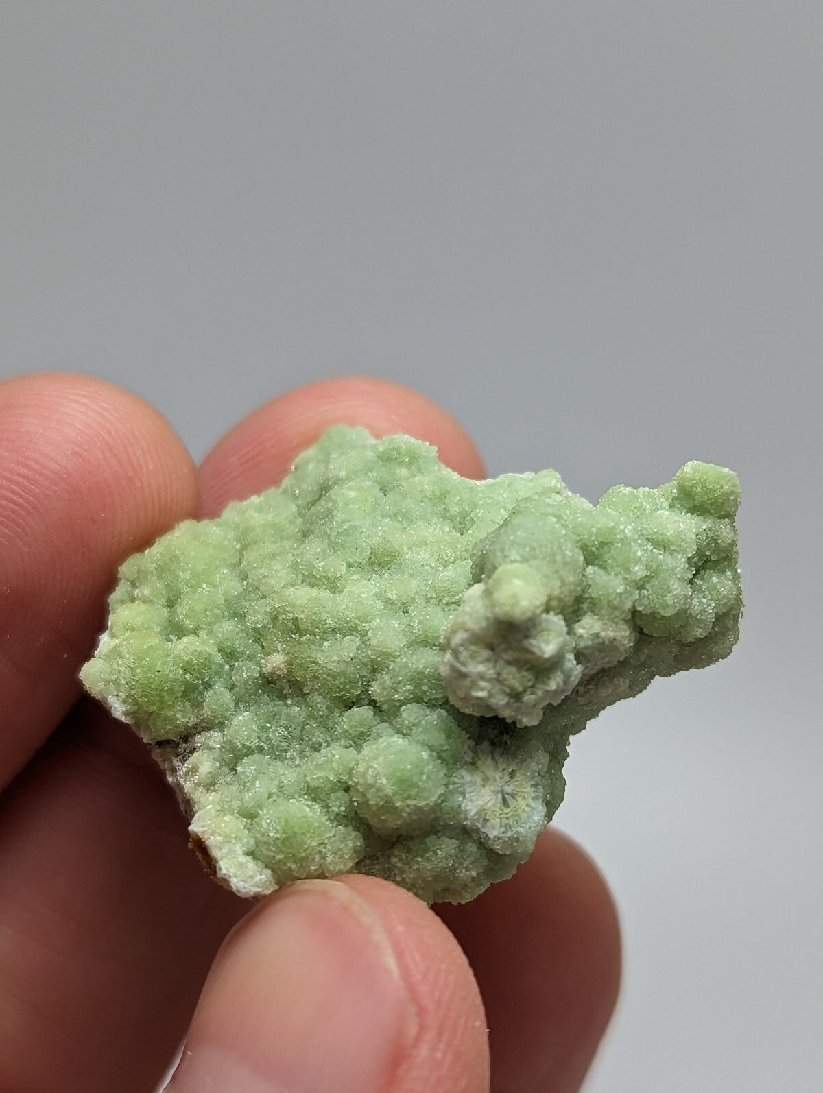 A pale green, textured mineral specimen with a rough, bumpy surface held in someone’s hand.