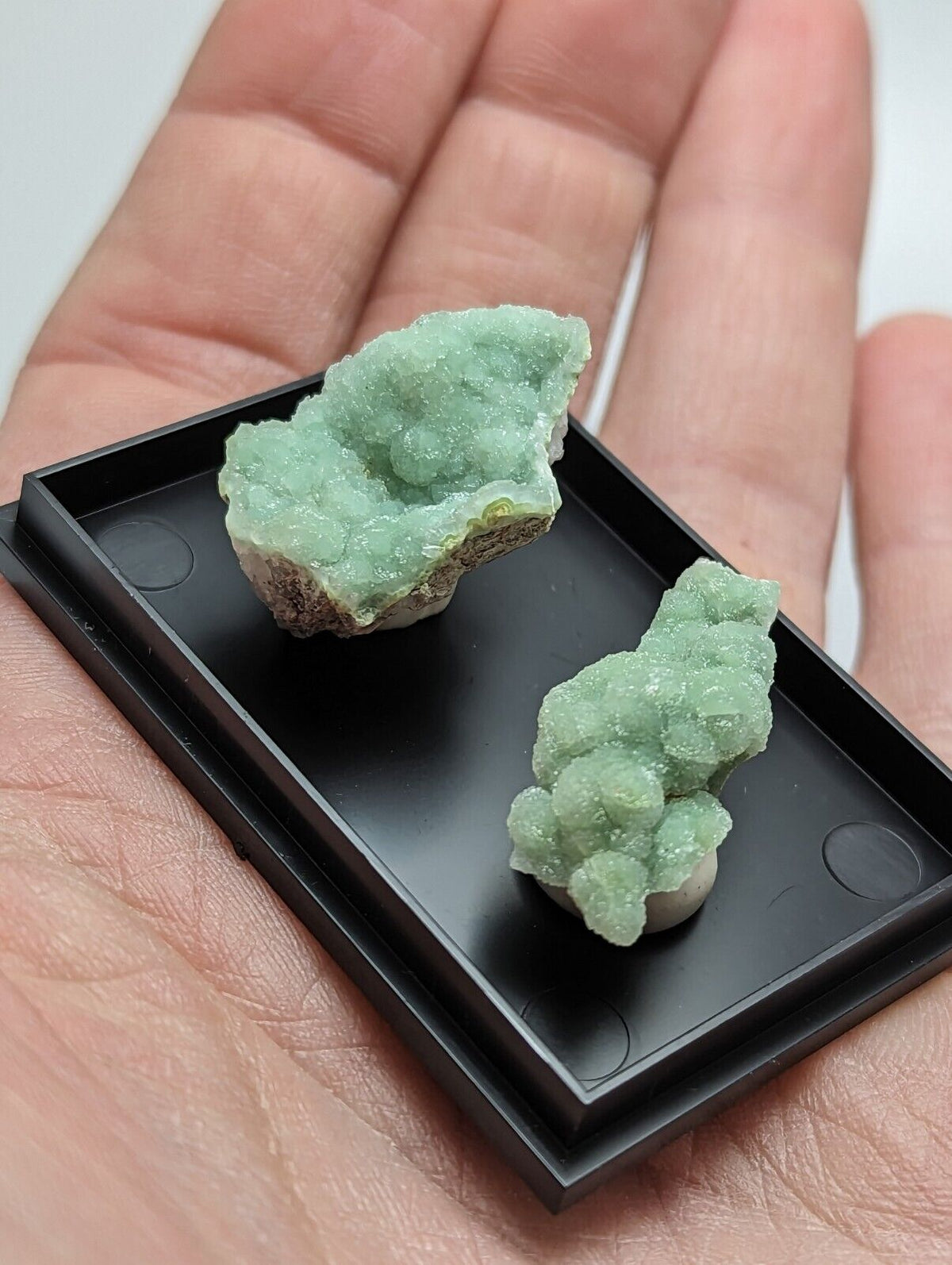 Wavellite - Unique Set of 2 w/ case - Old Stock - Mauldin Mountain Arkansas - Collectibles:Rocks Fossils &