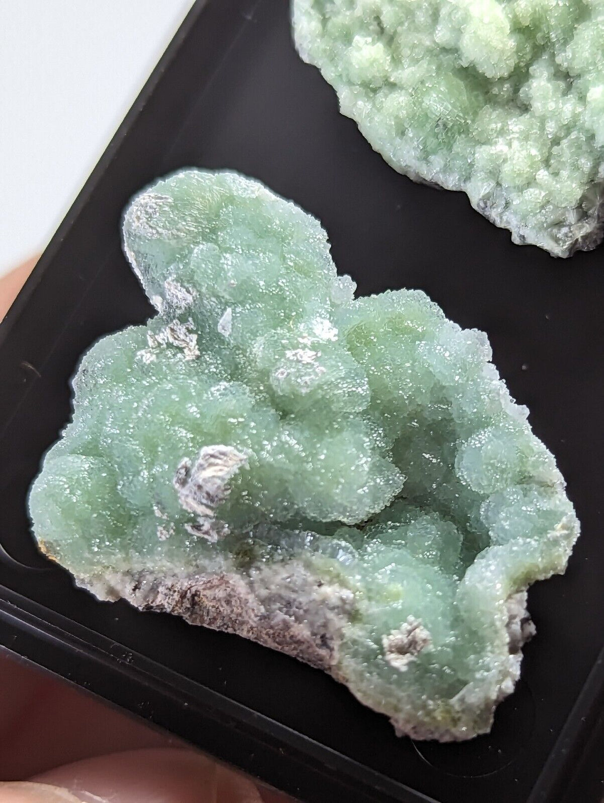 Wavellite - Unique Set of 2 w/ case - Old Stock - Mauldin Mountain Arkansas - Collectibles:Rocks Fossils &