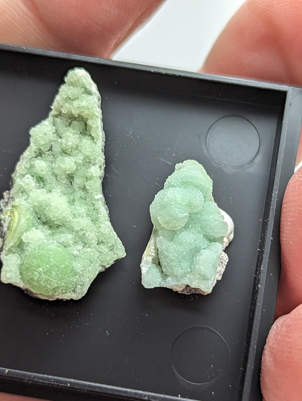 Wavellite - Unique Set of 3 w/ case - Old Stock - Mauldin Mountain Arkansas - Collectibles:Rocks Fossils &