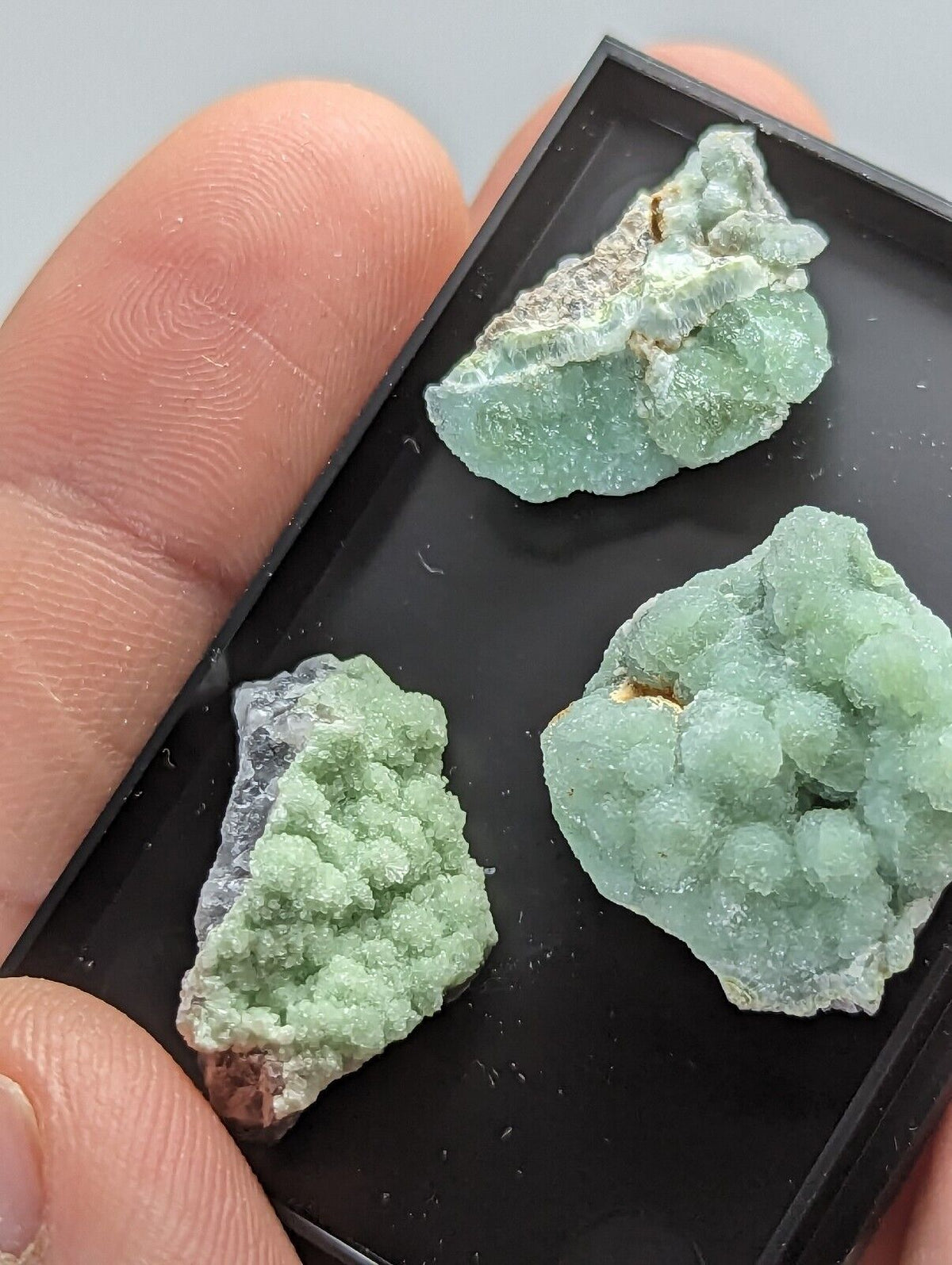 Wavellite - Unique Set of 3 w/ case - Old Stock - Mauldin Mountain Arkansas - Collectibles:Rocks Fossils &