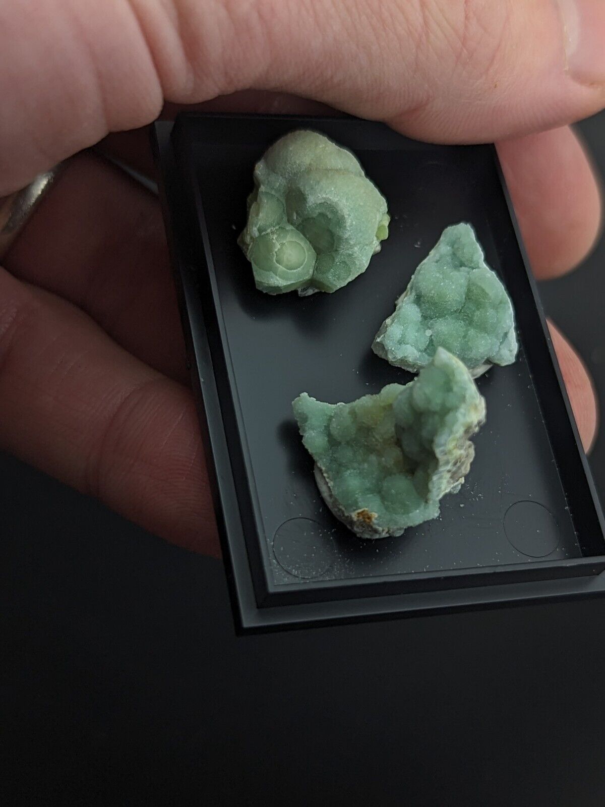 Wavellite - Unique Set of 3 w/ case - Old Stock - Mauldin Mountain Arkansas - Collectibles:Rocks Fossils &