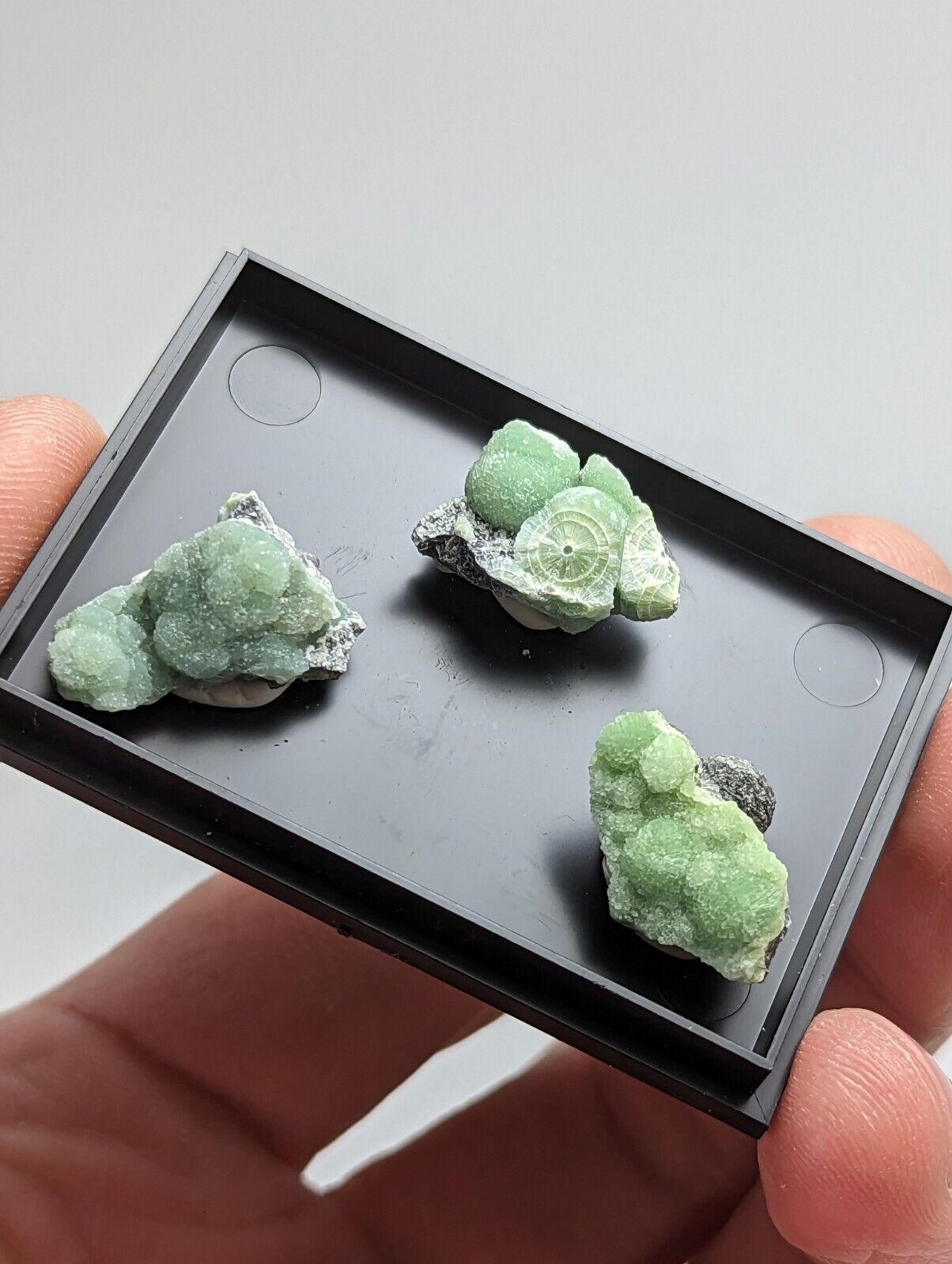 Wavellite - Unique Set of 3 w/ case - Old Stock - Mauldin Mountain Arkansas - Collectibles:Rocks Fossils &