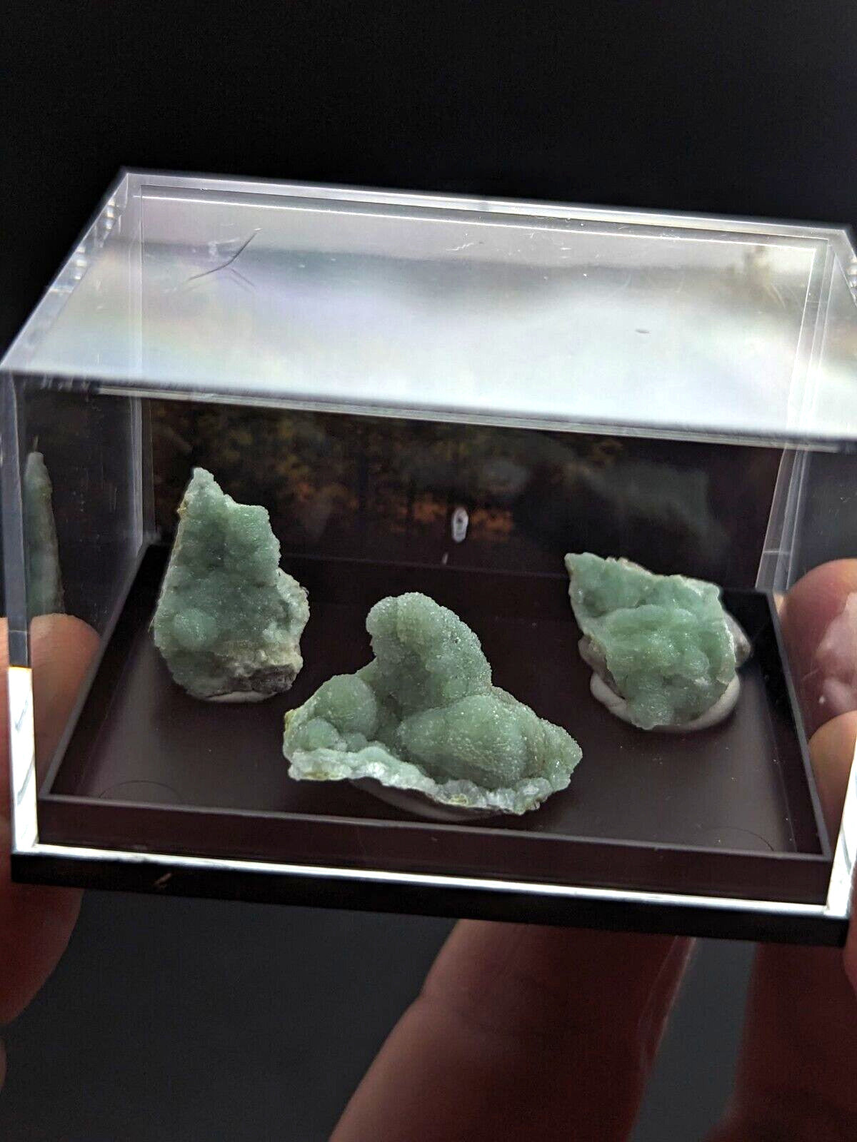 Wavellite - Unique Set of 3 w/ case - Old Stock - Mauldin Mountain Arkansas - Collectibles:Rocks Fossils &