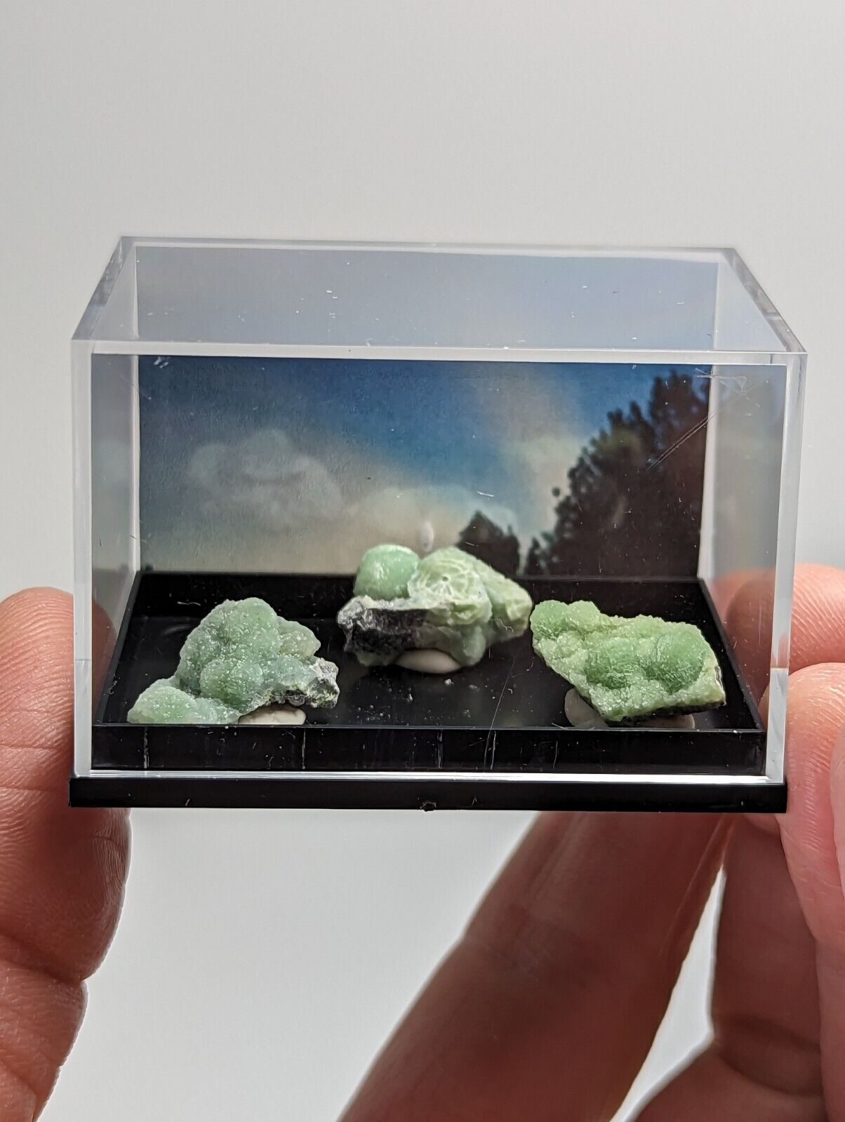 Wavellite - Unique Set of 3 w/ case - Old Stock - Mauldin Mountain Arkansas - Collectibles:Rocks Fossils &
