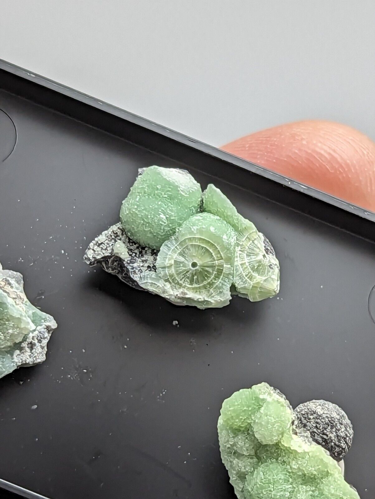 Wavellite - Unique Set of 3 w/ case - Old Stock - Mauldin Mountain Arkansas - Collectibles:Rocks Fossils &