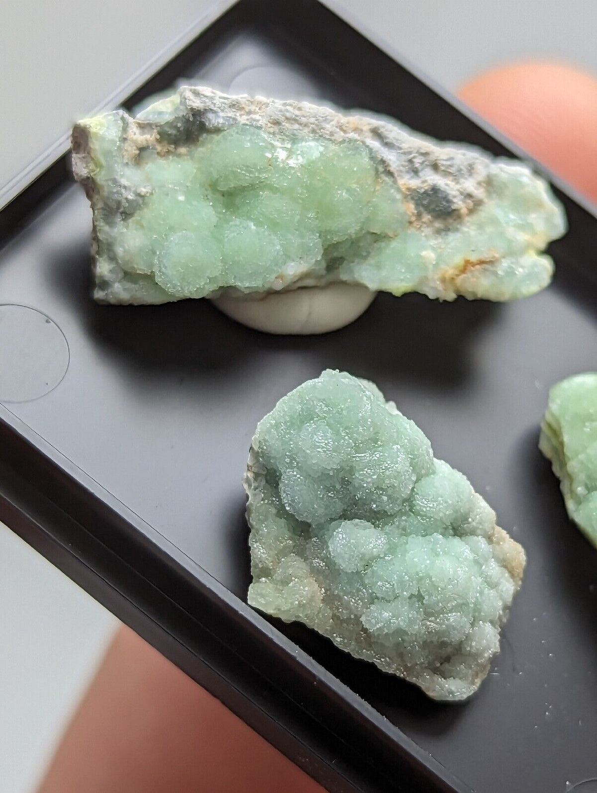 Wavellite - Unique Set of 3 w/ case - Old Stock - Mauldin Mountain Arkansas - Collectibles:Rocks Fossils &