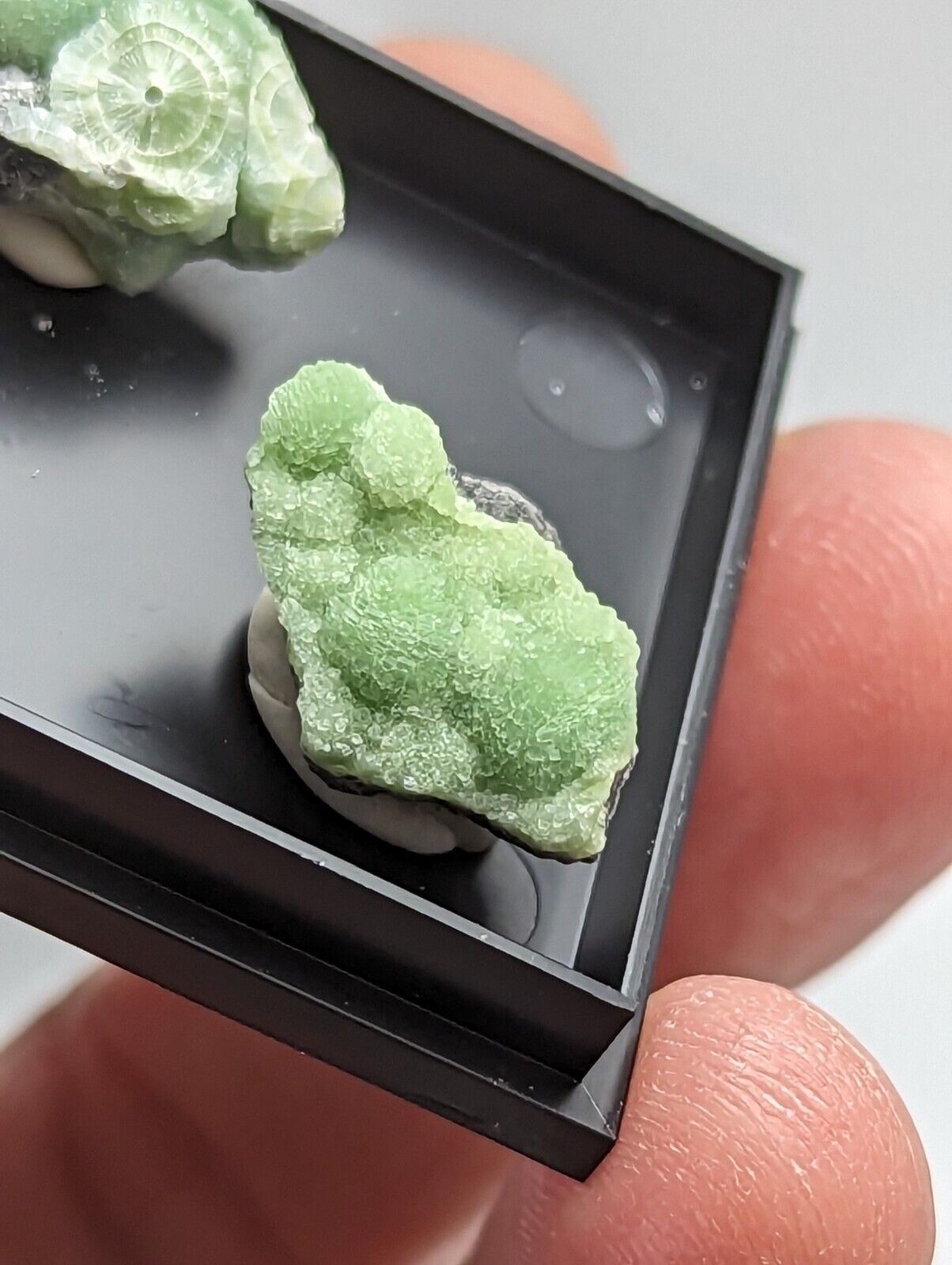 Wavellite - Unique Set of 3 w/ case - Old Stock - Mauldin Mountain Arkansas - Collectibles:Rocks Fossils &
