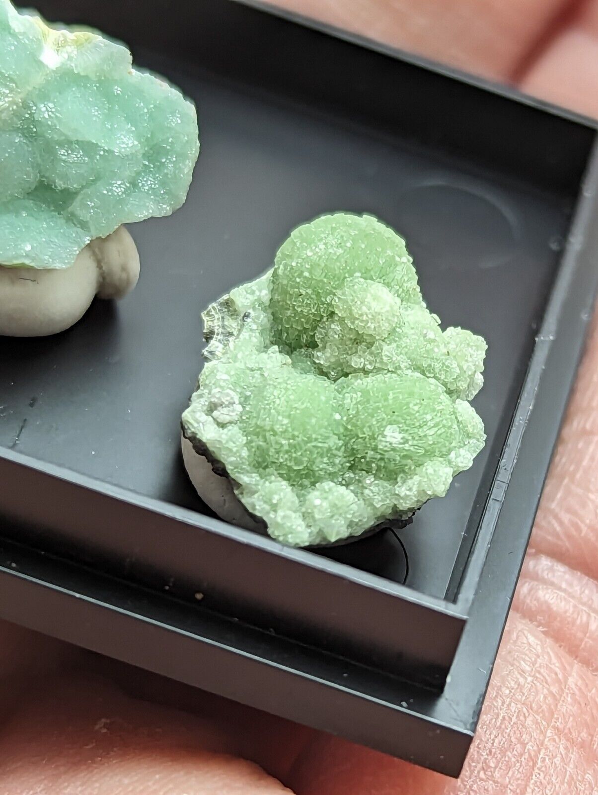 Wavellite - Unique Set of 3 w/ case - Old Stock - Mauldin Mountain Arkansas - Collectibles:Rocks Fossils &