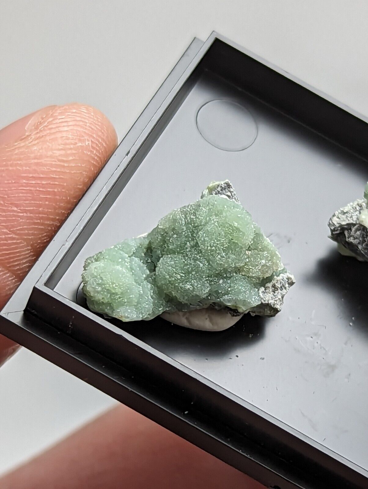 Wavellite - Unique Set of 3 w/ case - Old Stock - Mauldin Mountain Arkansas - Collectibles:Rocks Fossils &