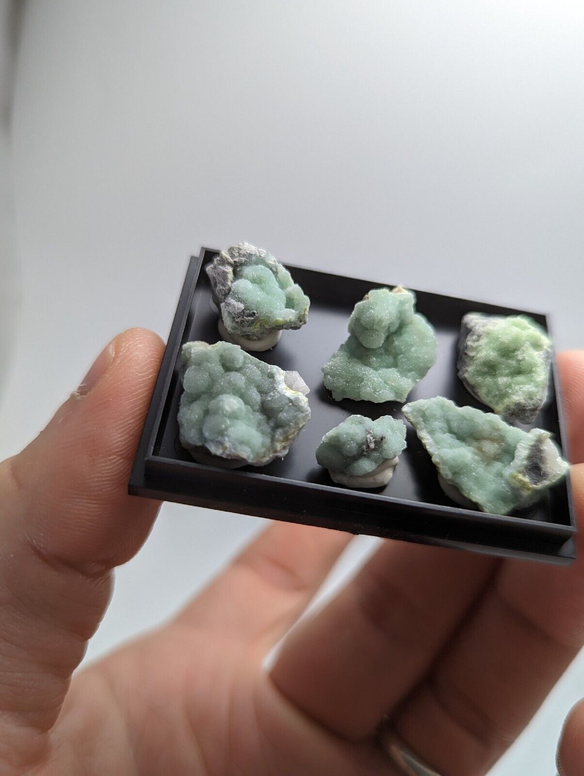 Wavellite - Unique Set of 6 w/ case - Old Stock - Mauldin Mountain Arkansas - Collectibles:Rocks Fossils &
