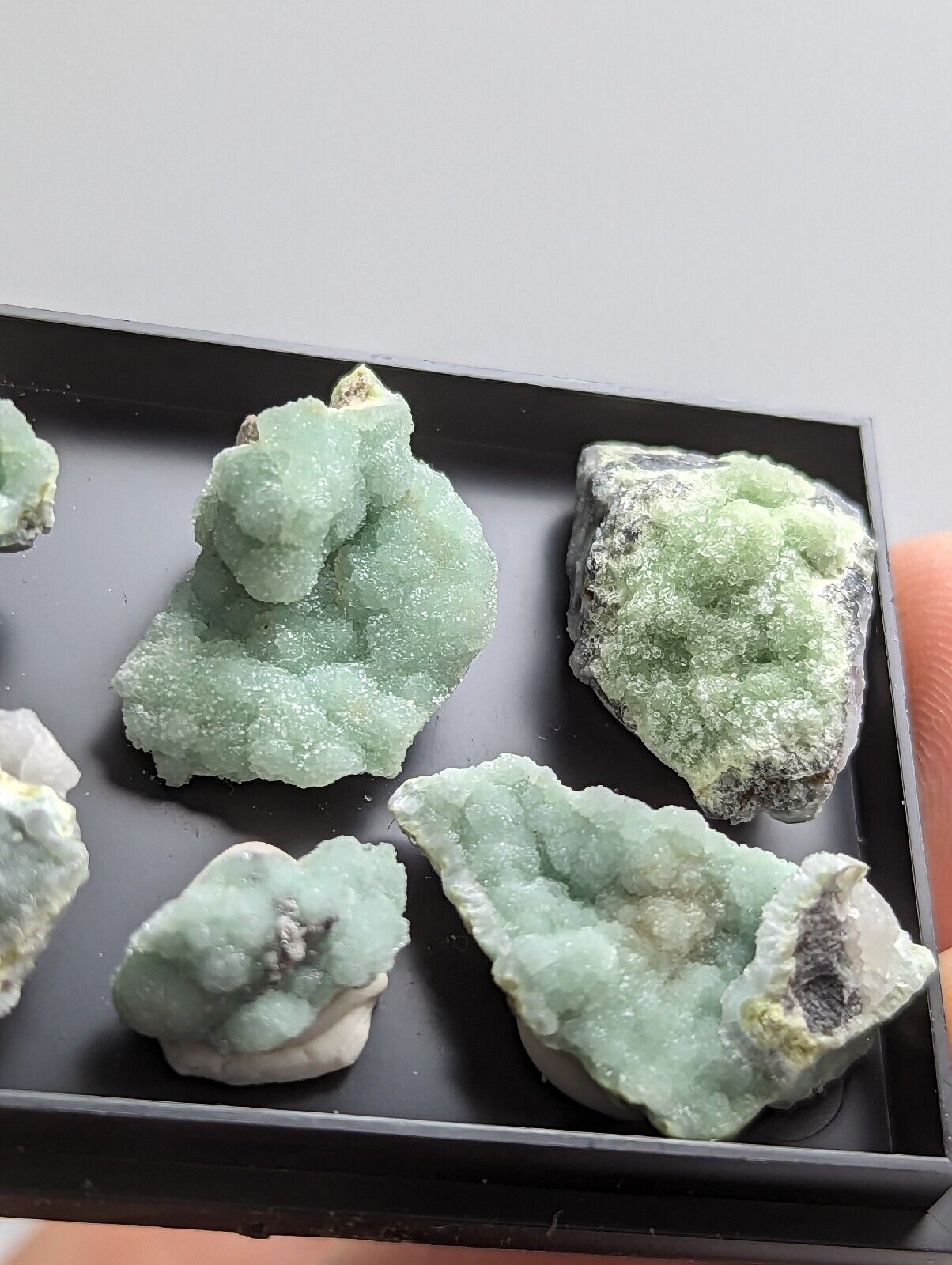 Wavellite - Unique Set of 6 w/ case - Old Stock - Mauldin Mountain Arkansas - Collectibles:Rocks Fossils &