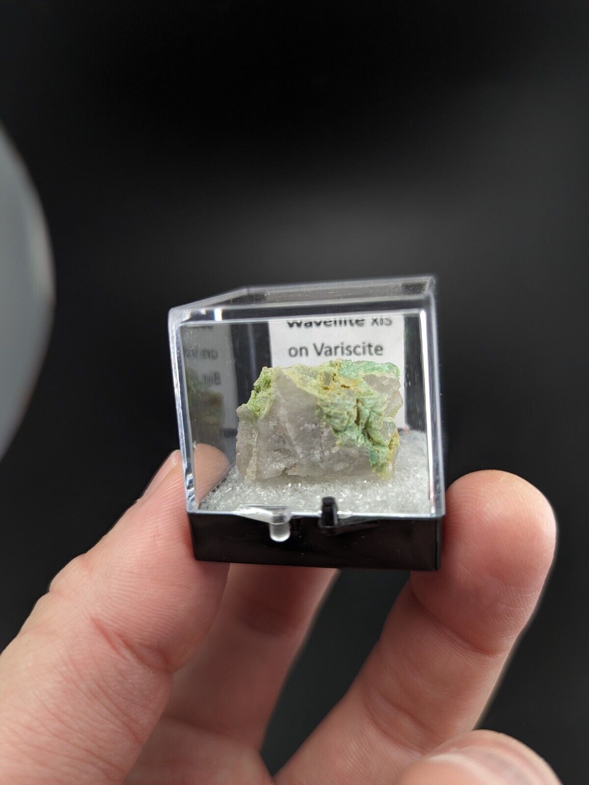 Wavellite on Variscite - Rare Old Stock - Polk County Arkansas Super Unique - Collectibles:Rocks Fossils &