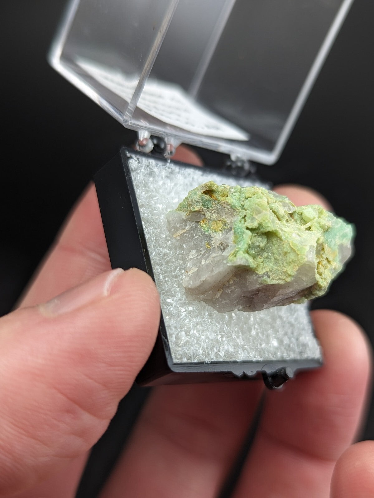 A green and white mineral specimen nestled in a black display case with clear acrylic lid.