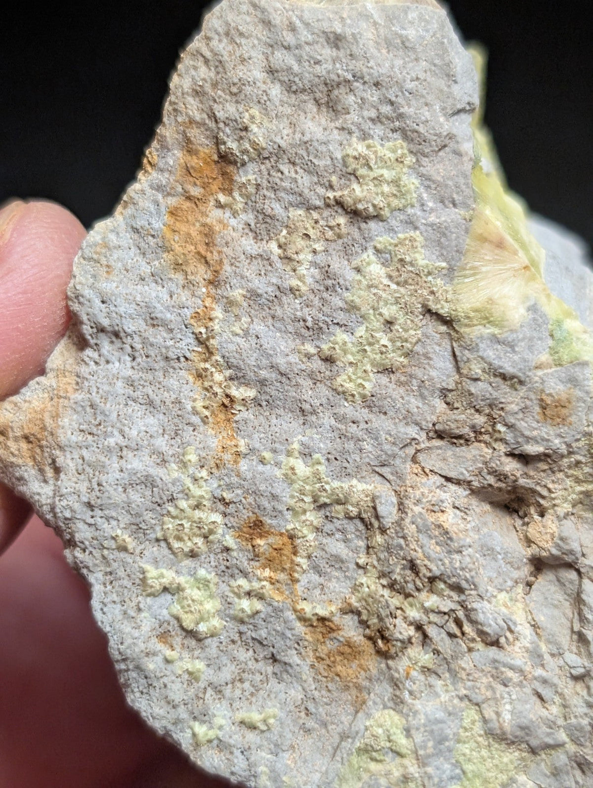 Wavellite w/ Crandallite Delinde Claim Garland County Arkansas USA,old stock - Collectibles:Rocks Fossils &