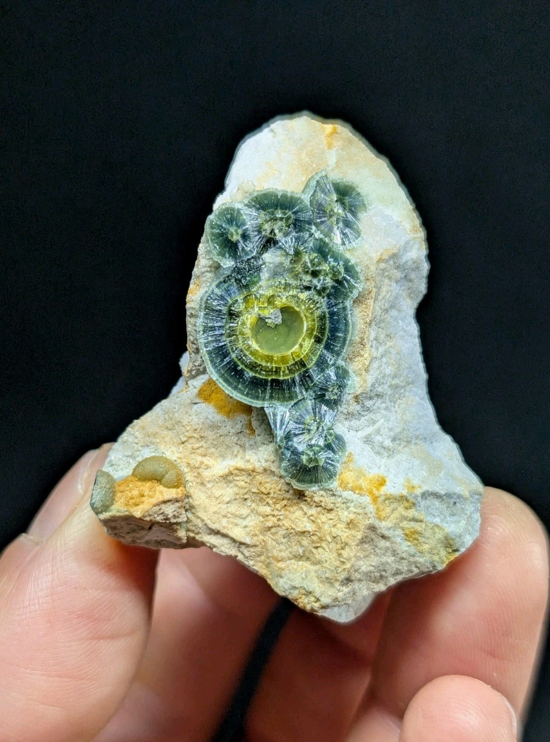 Wavellite w/ Eyes - Old Stock - Delinde Mine 1960s - Garland County Arkansas - Collectibles:Rocks Fossils &