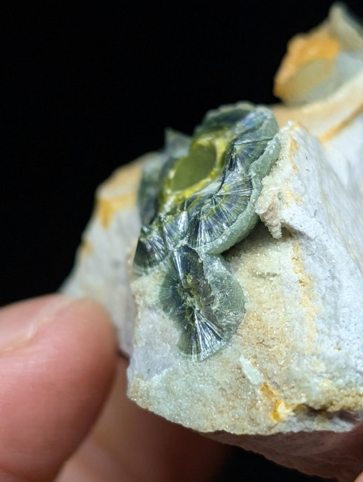 Wavellite w/ Eyes - Old Stock - Delinde Mine 1960s - Garland County Arkansas - Collectibles:Rocks Fossils &