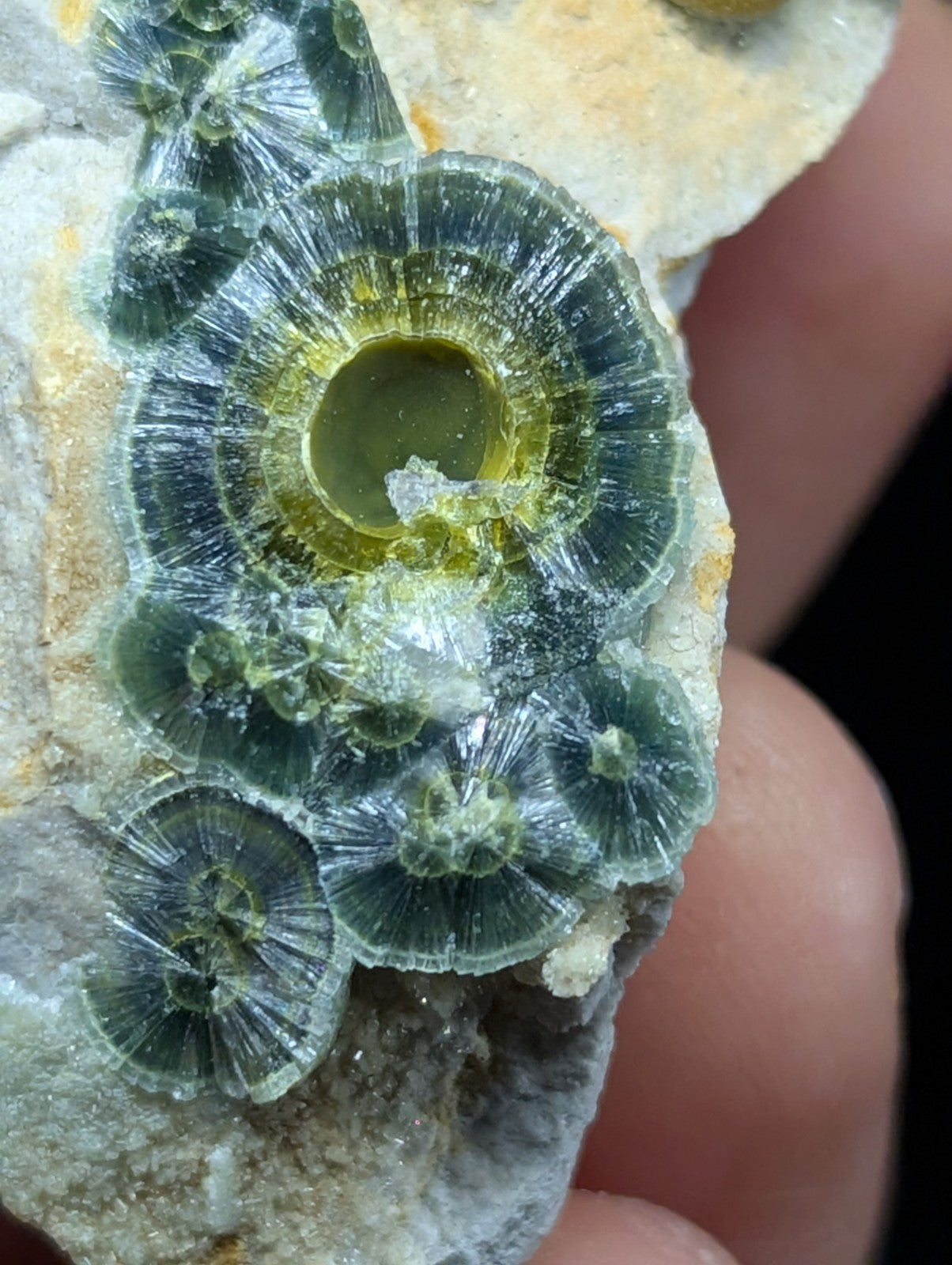 Wavellite w/ Eyes - Old Stock - Delinde Mine 1960s - Garland County Arkansas - Collectibles:Rocks Fossils &