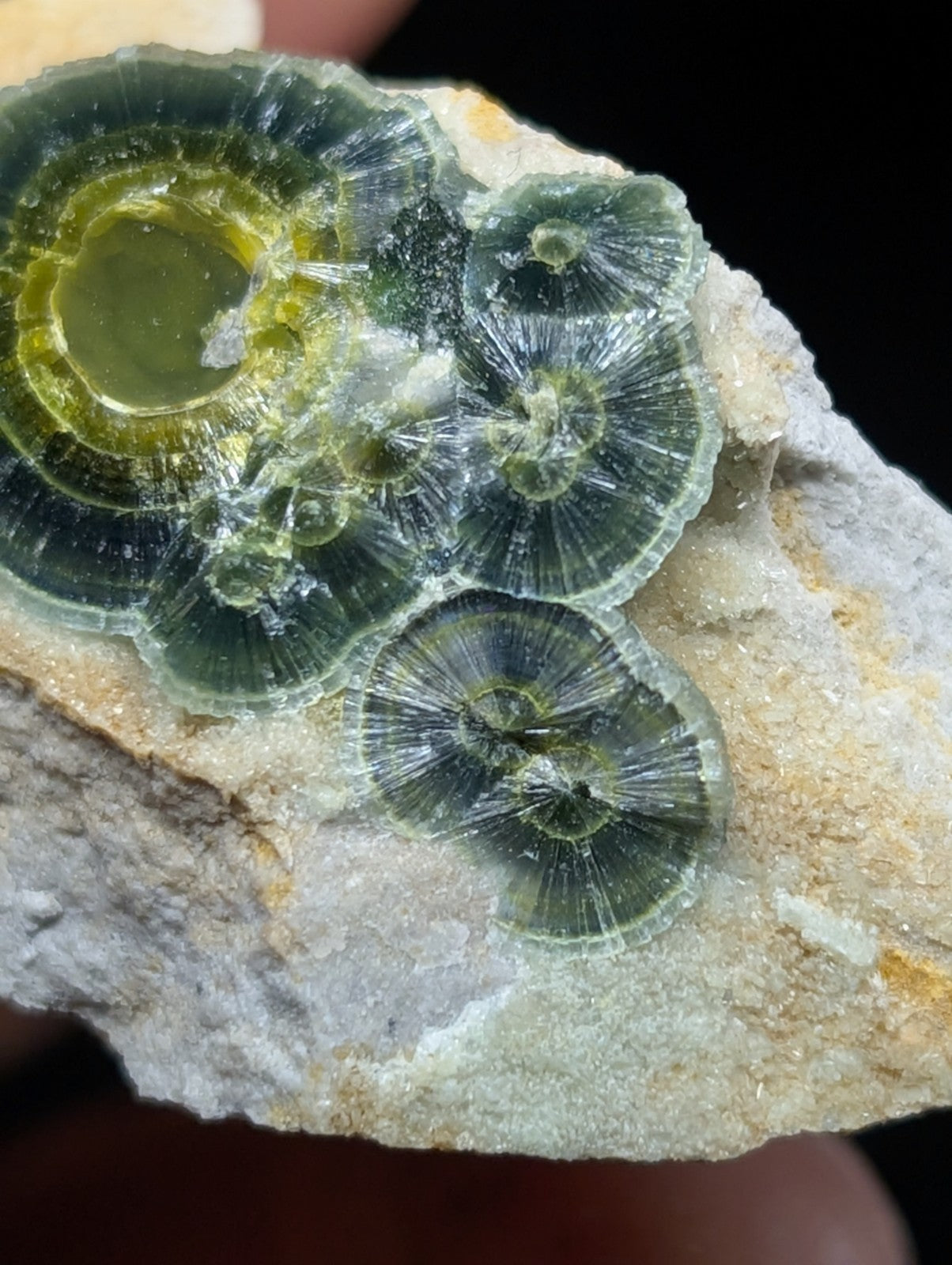 Wavellite w/ Eyes - Old Stock - Delinde Mine 1960s - Garland County Arkansas - Collectibles:Rocks Fossils &