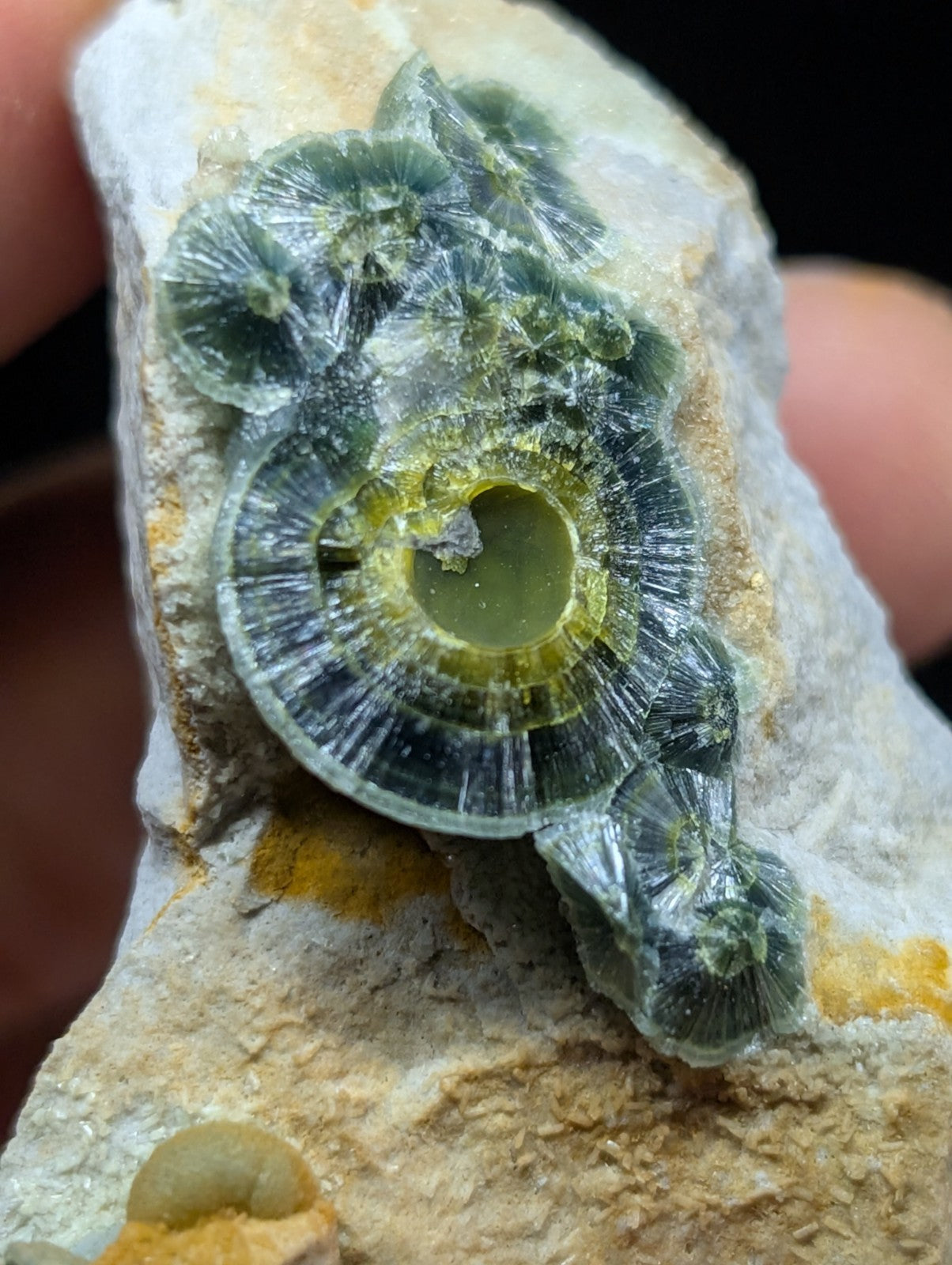 Wavellite w/ Eyes - Old Stock - Delinde Mine 1960s - Garland County Arkansas - Collectibles:Rocks Fossils &