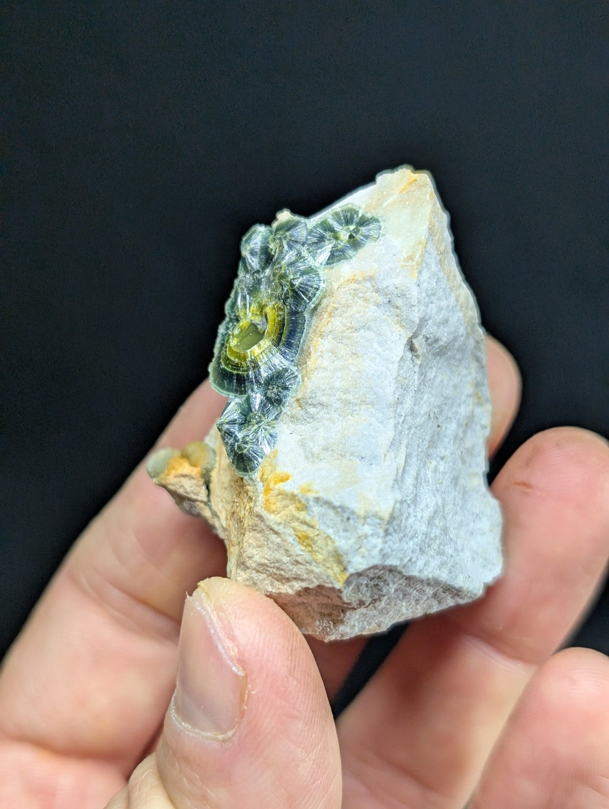 Wavellite w/ Eyes - Old Stock - Delinde Mine 1960s - Garland County Arkansas - Collectibles:Rocks Fossils &