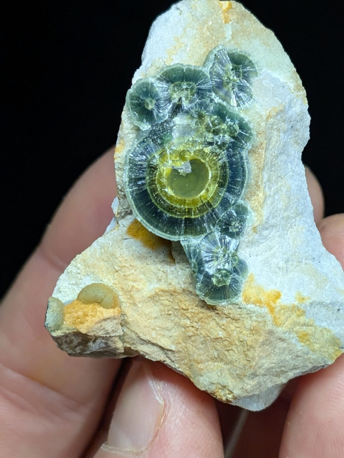 Wavellite w/ Eyes - Old Stock - Delinde Mine 1960s - Garland County Arkansas - Collectibles:Rocks Fossils &