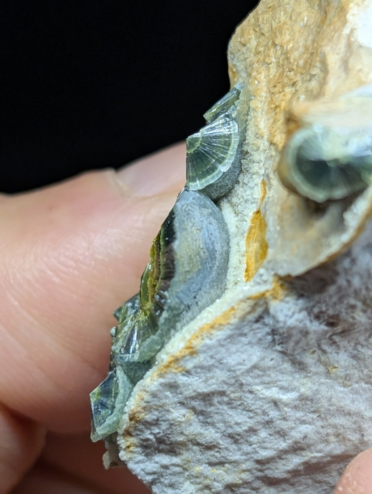 Wavellite w/ Eyes - Old Stock - Delinde Mine 1960s - Garland County Arkansas - Collectibles:Rocks Fossils &