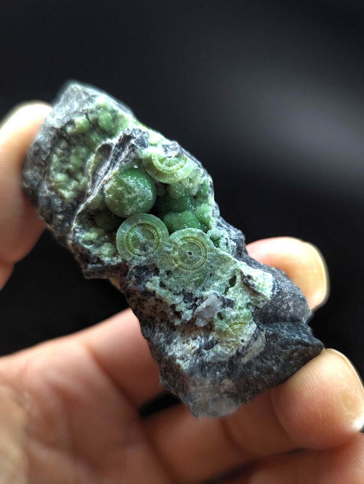 Wavellite w/ nice Eyes - Fantastic Old Stock - Mauldin Mountain Arkansas ooak - Collectibles:Rocks Fossils &