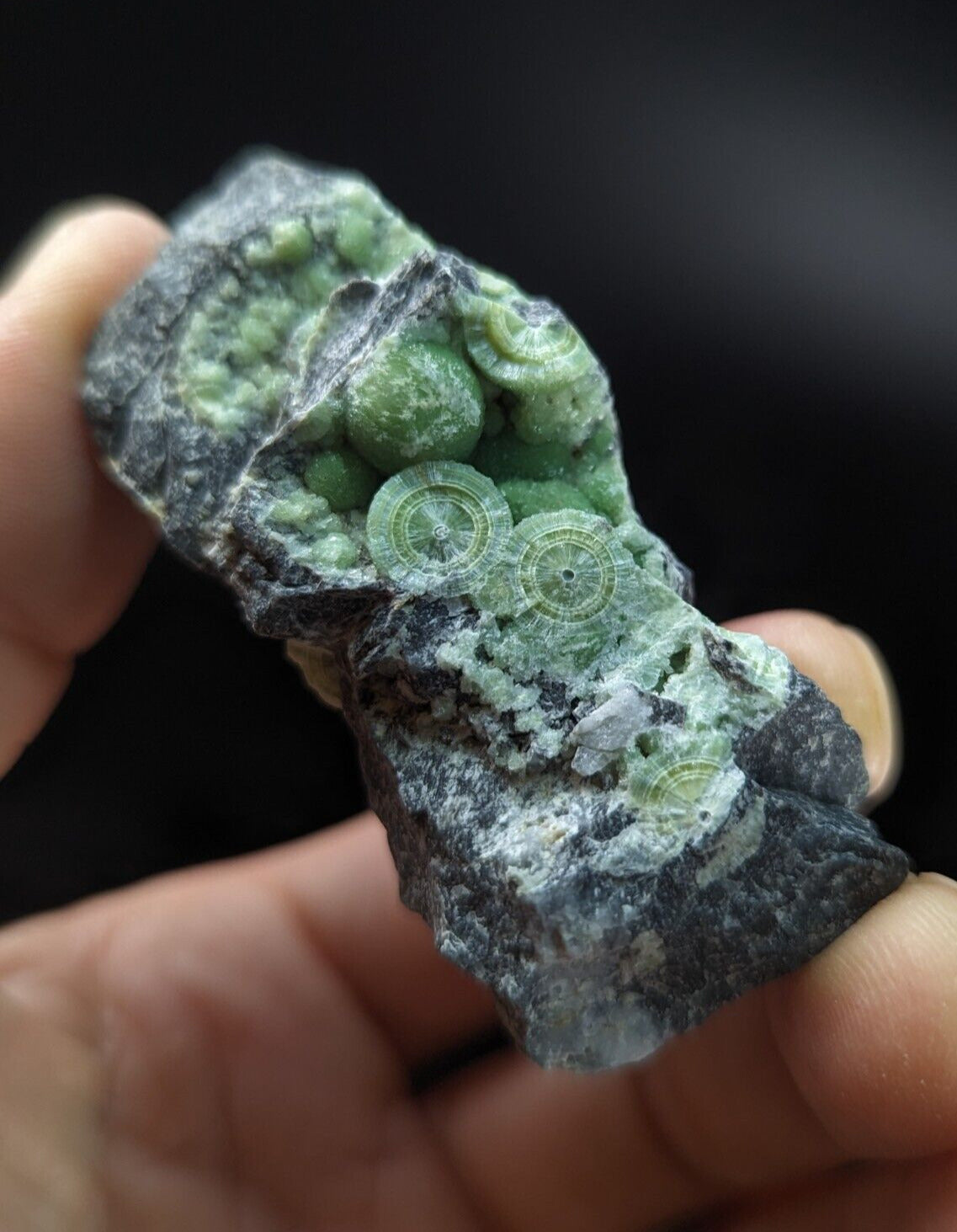 Wavellite w/ nice Eyes - Fantastic Old Stock - Mauldin Mountain Arkansas ooak - Collectibles:Rocks Fossils &
