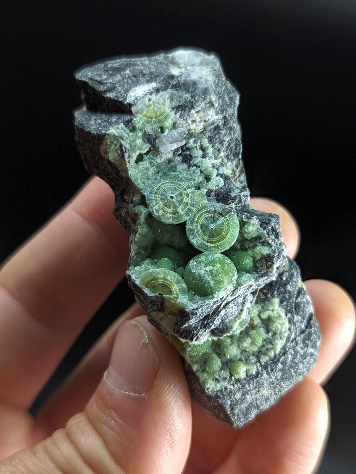 Wavellite w/ nice Eyes - Fantastic Old Stock - Mauldin Mountain Arkansas ooak - Collectibles:Rocks Fossils &
