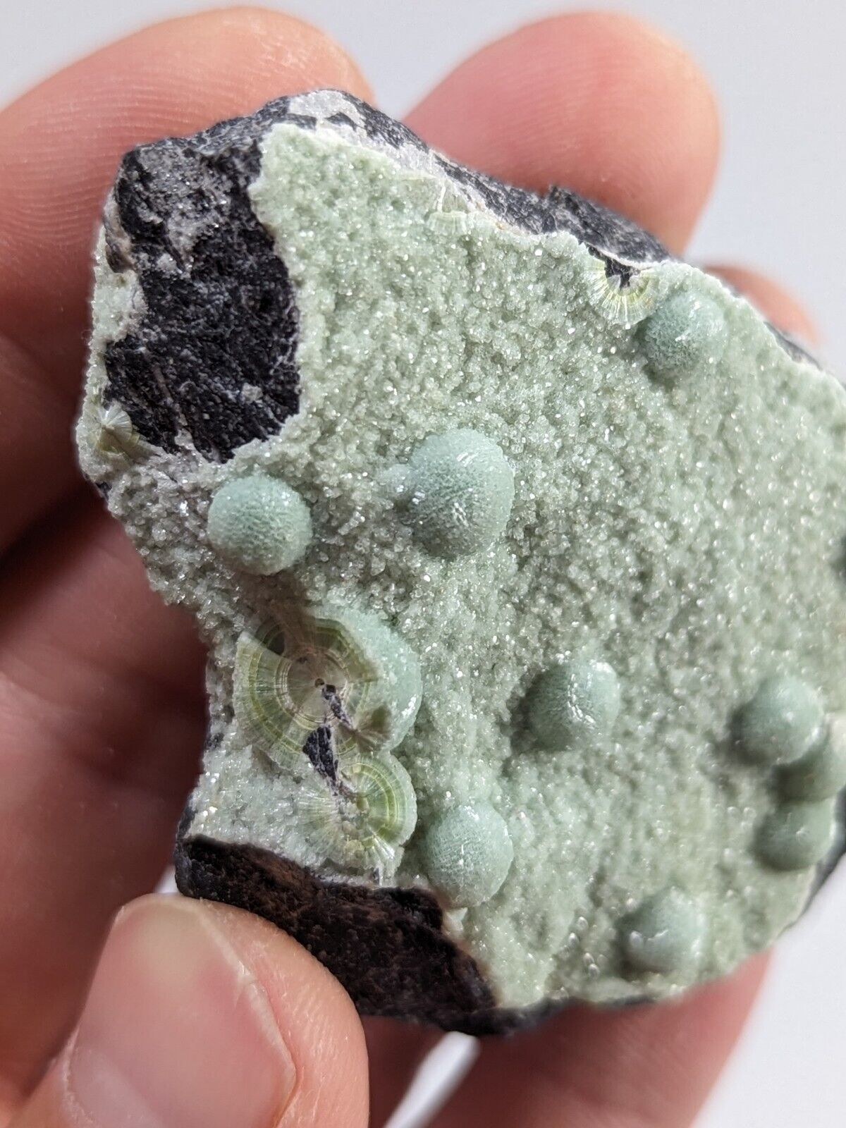 Wavellite + White Mineral - Fantastic Old Stock - Mauldin Mountain Arkansas - Collectibles:Rocks Fossils &