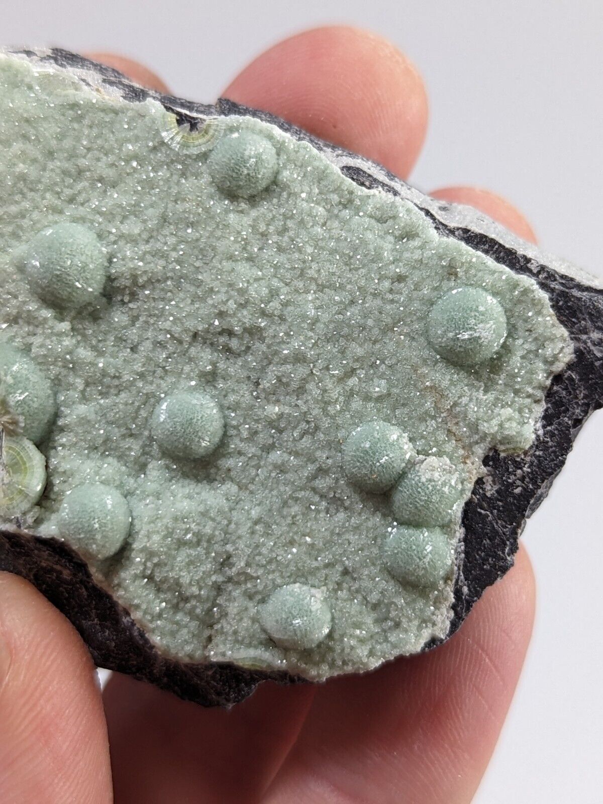 Wavellite + White Mineral - Fantastic Old Stock - Mauldin Mountain Arkansas - Collectibles:Rocks Fossils &