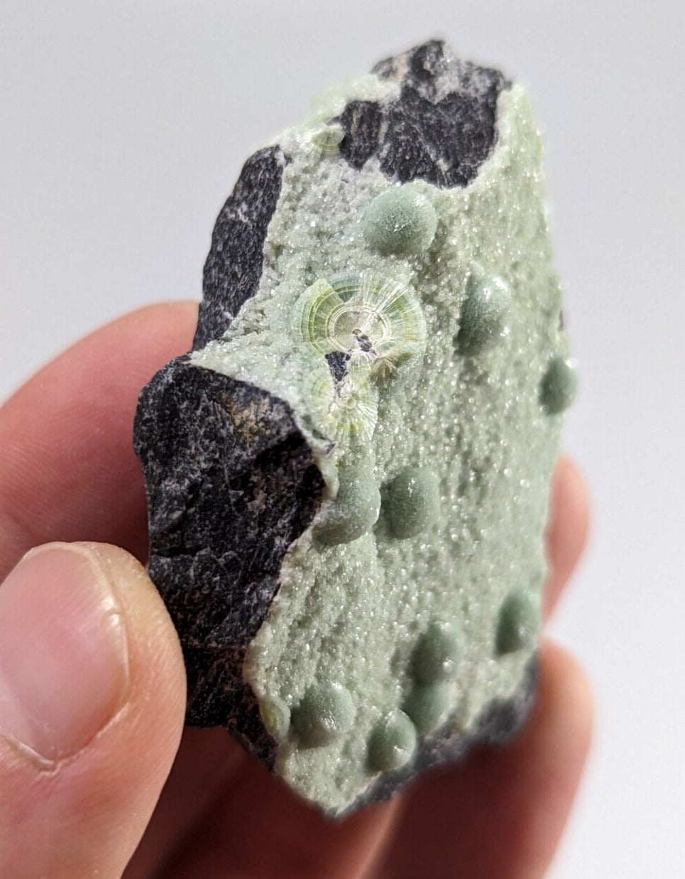 Wavellite + White Mineral - Fantastic Old Stock - Mauldin Mountain Arkansas - Collectibles:Rocks Fossils &