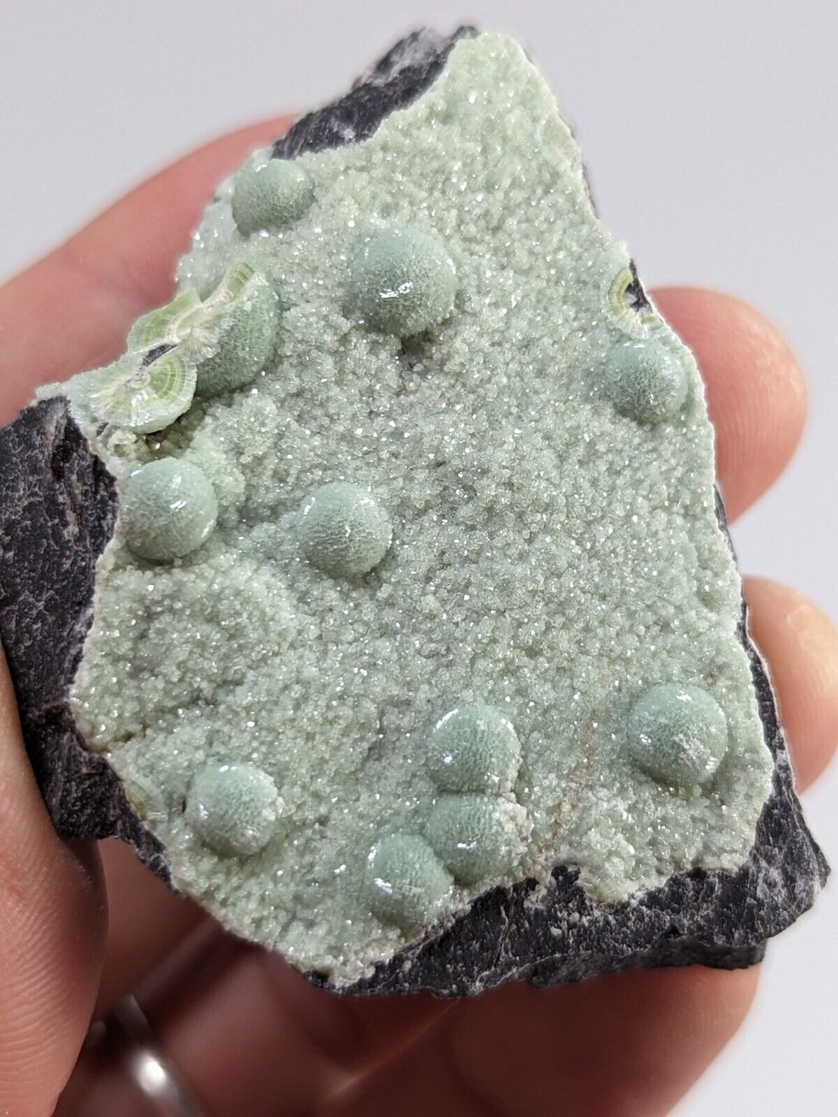 Wavellite + White Mineral - Fantastic Old Stock - Mauldin Mountain Arkansas - Collectibles:Rocks Fossils &