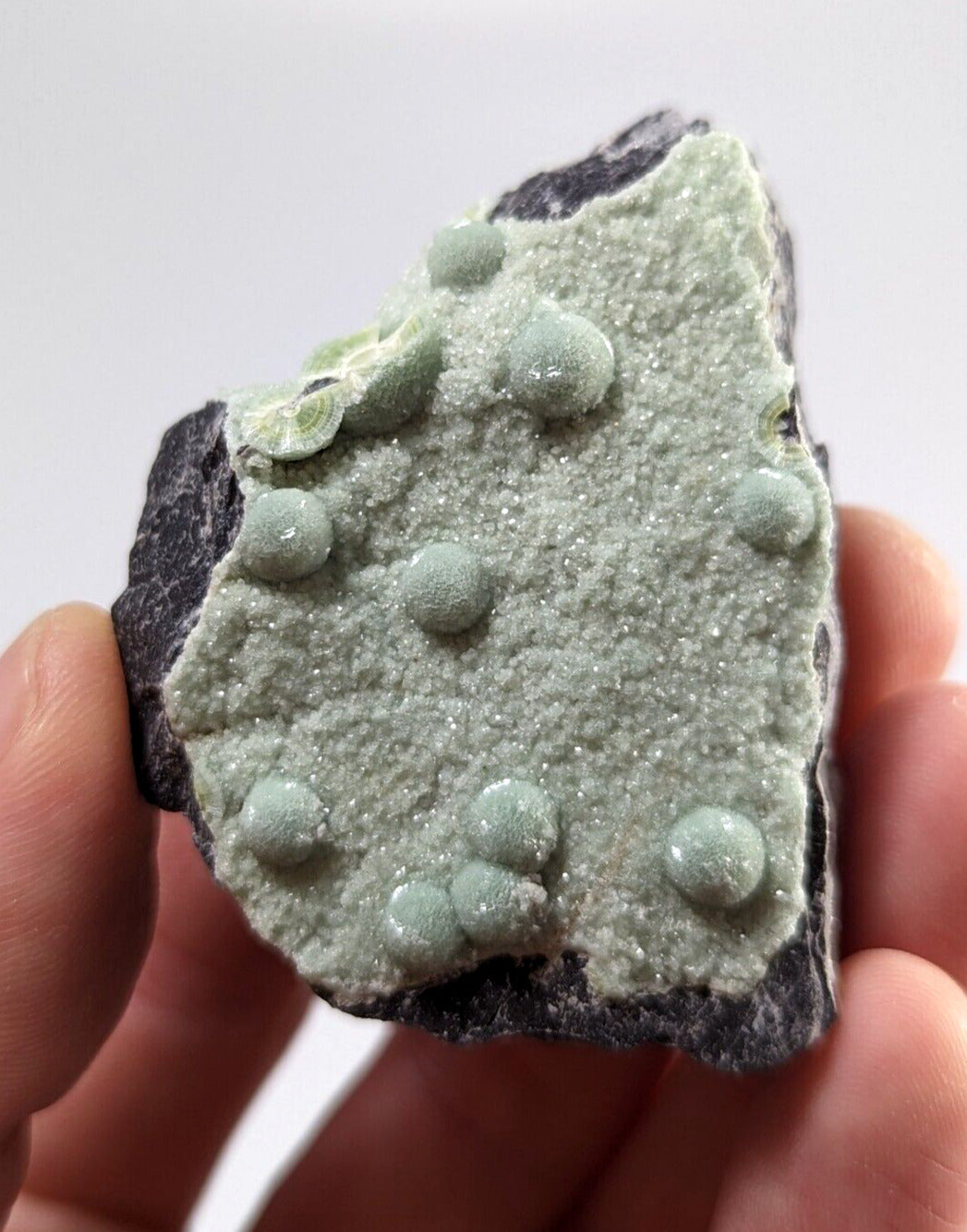 Wavellite + White Mineral - Fantastic Old Stock - Mauldin Mountain Arkansas - Collectibles:Rocks Fossils &