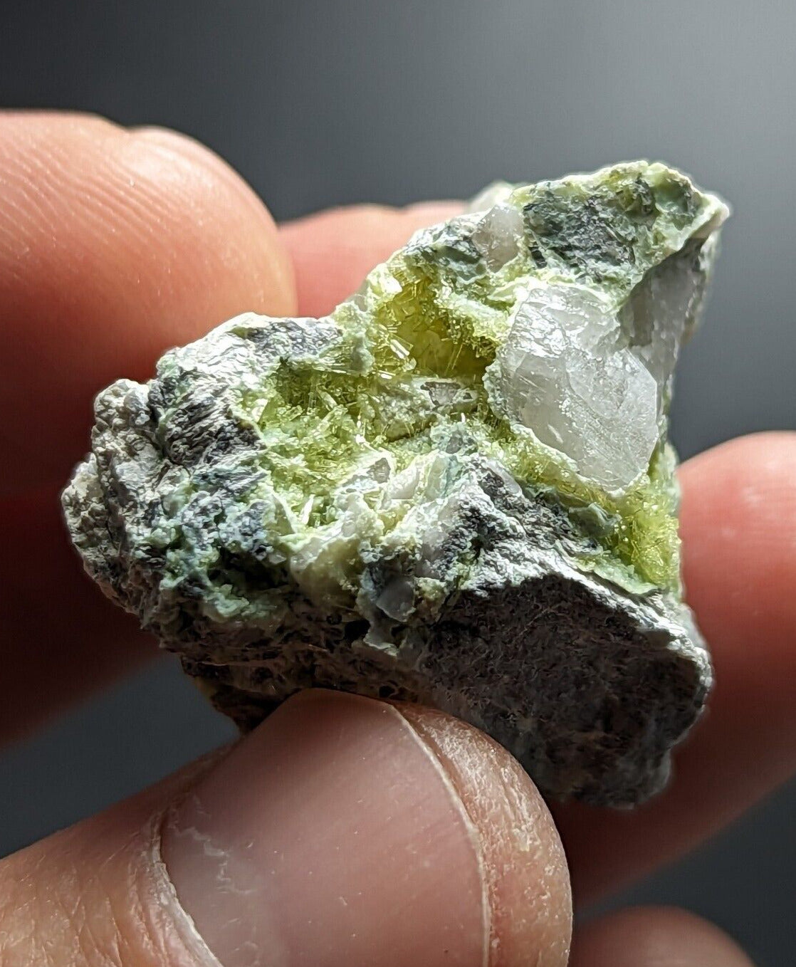 Yellow/ Green Wavellite - John Aleshire Porspect Polk County Arkansas Rare - Collectibles:Rocks Fossils &