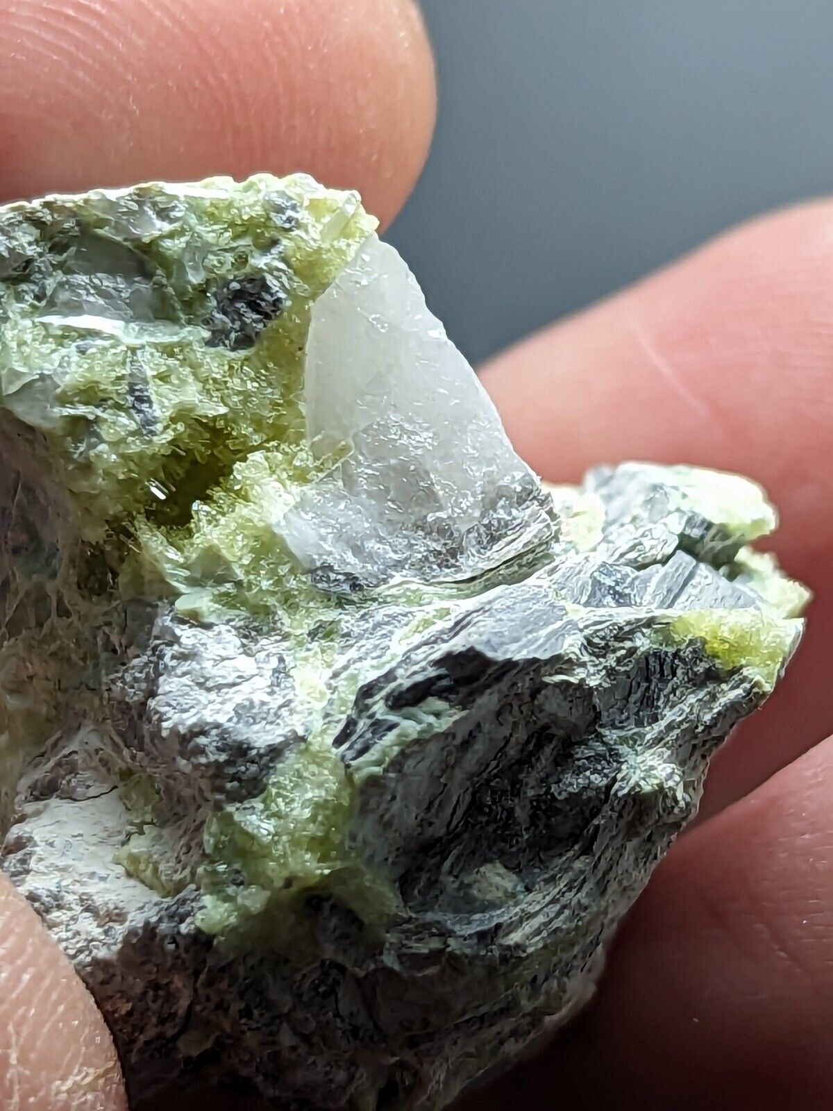 Yellow/ Green Wavellite - John Aleshire Porspect Polk County Arkansas Rare - Collectibles:Rocks Fossils &