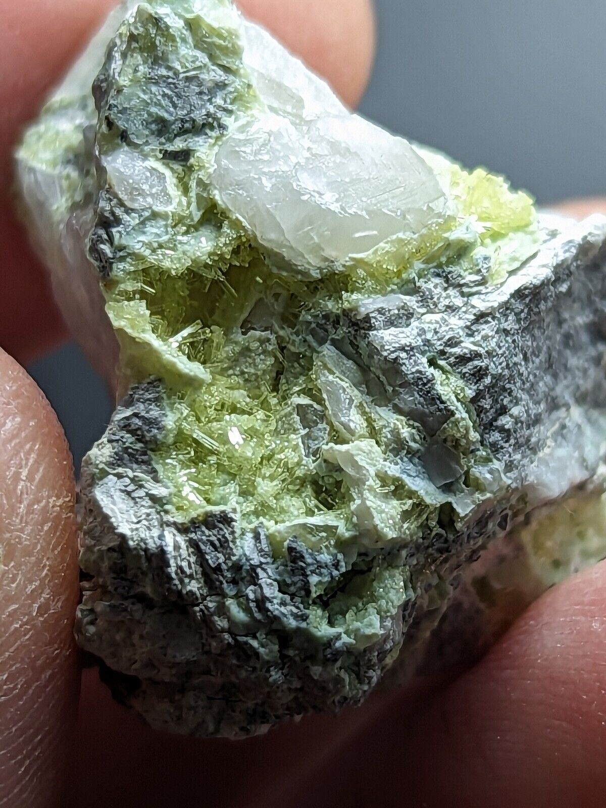 Yellow/ Green Wavellite - John Aleshire Porspect Polk County Arkansas Rare - Collectibles:Rocks Fossils &