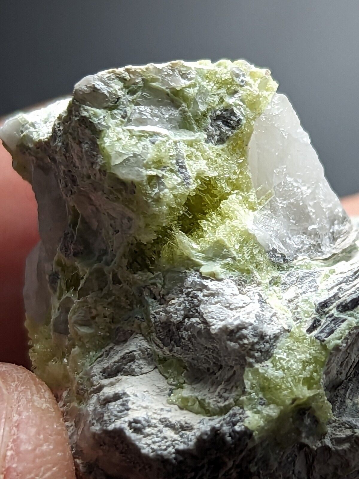 Yellow/ Green Wavellite - John Aleshire Porspect Polk County Arkansas Rare - Collectibles:Rocks Fossils &