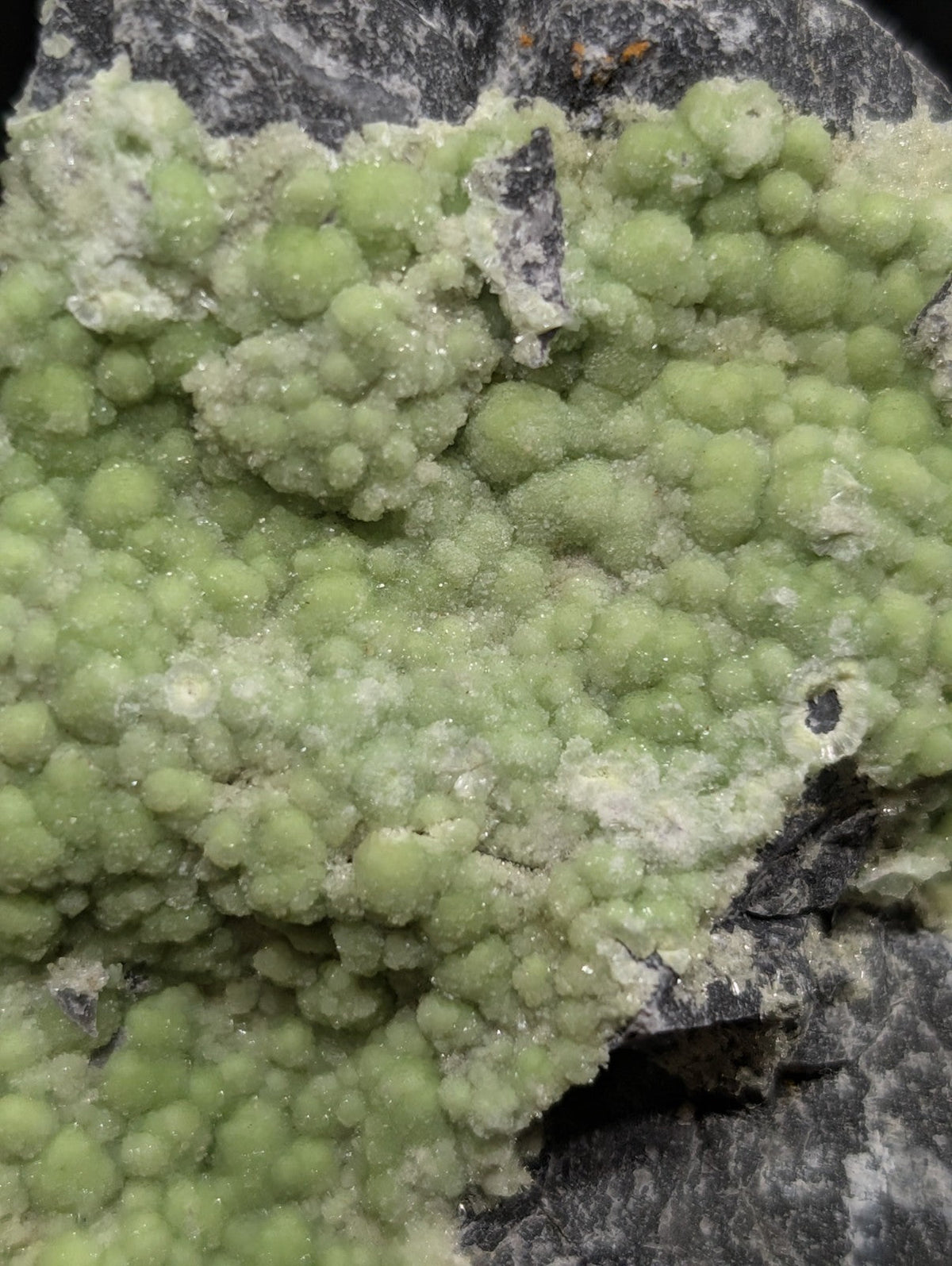 A cluster of light green, spherical crystals with a slightly rough and textured surface.