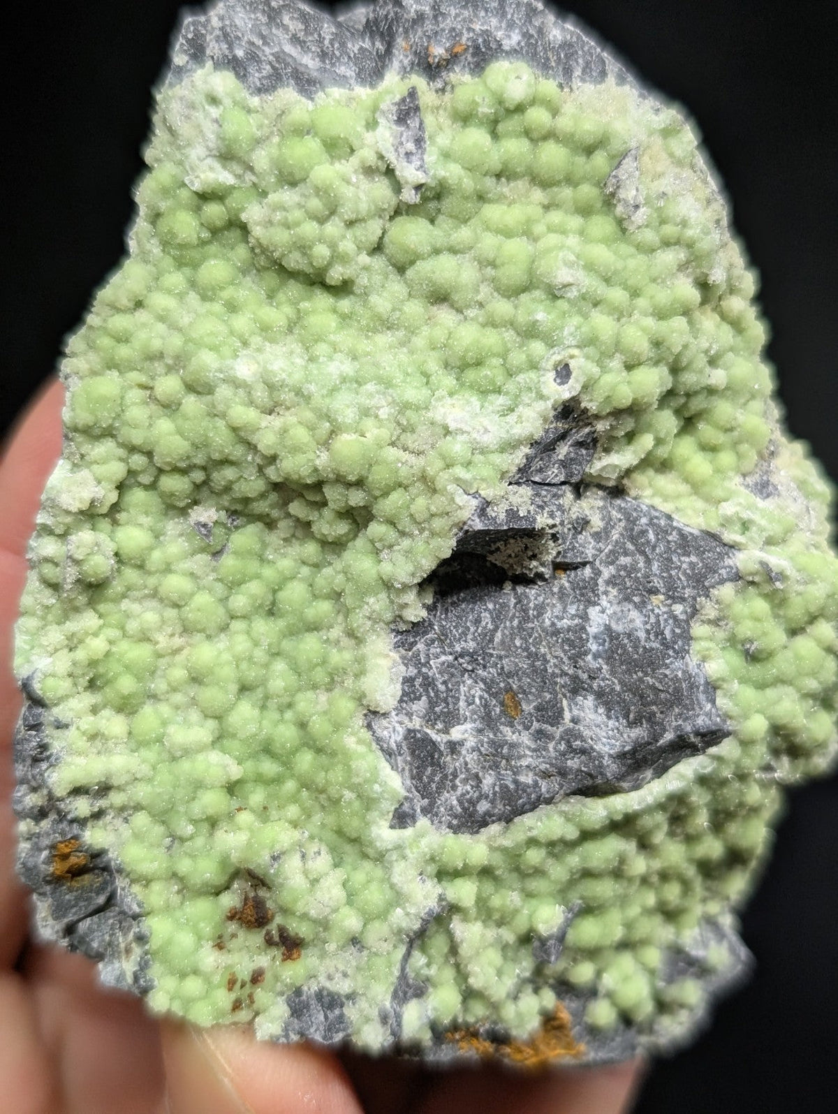 A striking green, bumpy mineral specimen with a textured surface and dark gray rock matrix.